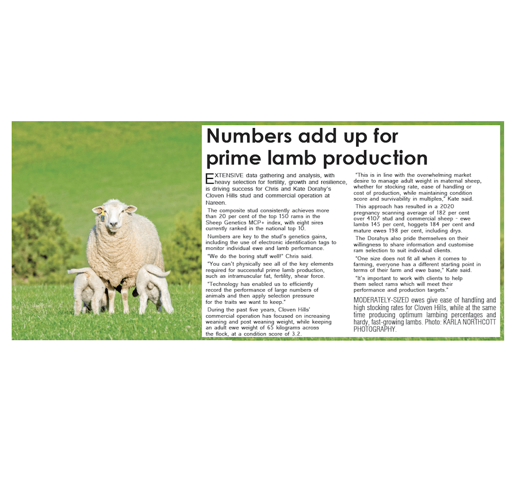 Sheepvention in Print, 2020 (The Spectator Group)