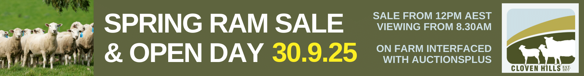 Spring Ram Sale